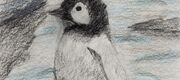 Pinguinkind Pinguinkind